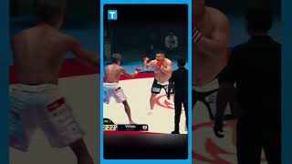 SUMO vs Kickboxer mma [upl. by Elmore]