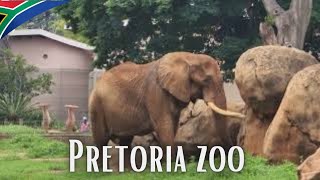 🇿🇦Pretoria Zoo Exploration 2023✔️ [upl. by Anit]