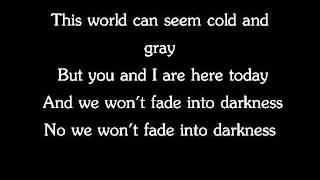 Avicii Fade Into Darkness lyrics [upl. by Bedell419]