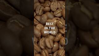 Discover the Hidden Trail of Vietnams Coffee [upl. by Grata]