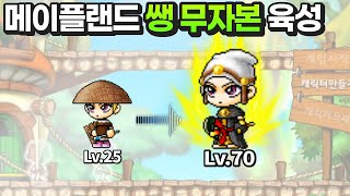 완전 쌩 무자본 메이플랜드 썬콜 육성 170레벨 마법사 옛날메이플 메랜 [upl. by Zaraf309]