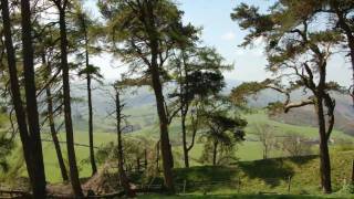 Offas Dyke Path  Day 8 [upl. by Stanhope230]