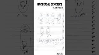 Bacterial Genetics  Bacterial Genetics CSIR NET  Conjugation Transduction csirnet genetics [upl. by Edric]