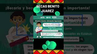 🎊🪪Tramite urgente para recibir tus depósitos de la beca Benito Juárez [upl. by Enelyahs948]