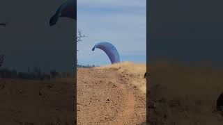 Bidwell Park hiking and Chico california [upl. by Nevur]