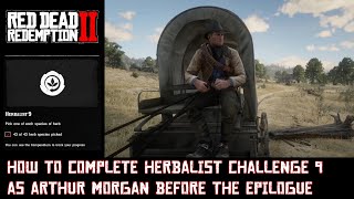 RDR 2 How to complete Herbalist Challenge 9 as Arthur Morgan [upl. by Elodia]