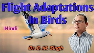 Flight Adaptation in Birds Hindi [upl. by Valley]