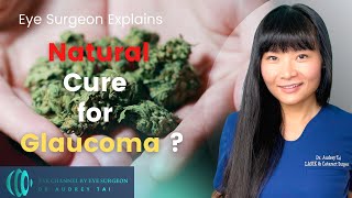 Marijuana  Natural Cure for Glaucoma  Real or Not  Eye Surgeon Explains draudreytai [upl. by Binetta922]