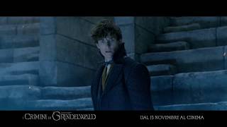 Animali Fantastici I Crimini di Grindelwald  SIDE 15quot [upl. by Ysus]