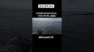 문어낚시  7월 문어 싸이즈 실화냐 문어낚시 군산문어낚시 낚시 fishing [upl. by Bois11]