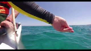 Hobie Cat Sailing at Memories Jibacoa Cuba [upl. by Malda]