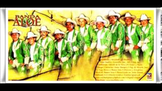 banda aloe eleazar del fierro zapotlan del rey jalisco [upl. by Aehtna]