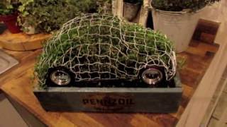 How to fill a topiary frame [upl. by Harmonia555]