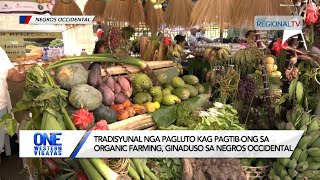 One Western Visayas Tradisyunal nga pagluto kag organic farming ginaduso sa Negros Occidental [upl. by Nerdna60]