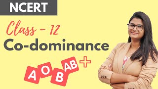 Codominance in 5 Minutes [upl. by Nomled]