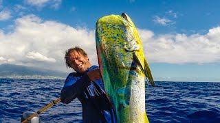 Quick Draw  Spearing MahiMahi from moving boat [upl. by Ewald]