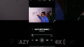 EazyE Riot Remix [upl. by Witha]