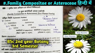 Family Compositae or Asteraceae in hindi BSc 2nd year Botany 3rd Semester [upl. by Ydahs361]