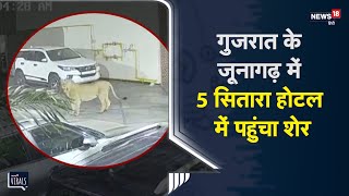 Gujarat  Junagadh में एक 5 सितारा होटल में पहुंचा Lion  Viral Video [upl. by Vadim489]