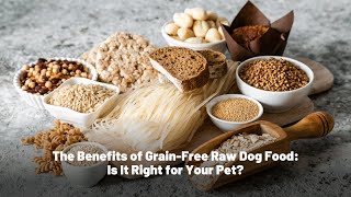 Is GrainFree Raw Dog Food the Right Choice for Your Pup 🐾 [upl. by Jephthah]