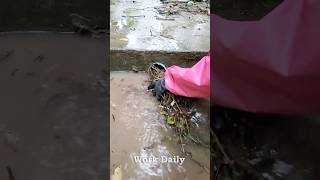 Complete Blockage Fix Restoring Flow in Plugged Storm Drain [upl. by Anerak]