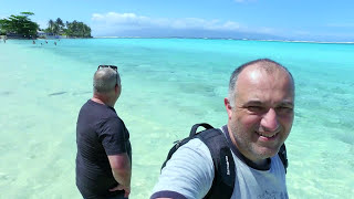 Playa TEMAE en Polinesia Francesa Isla de Moorea [upl. by Ahsinev]