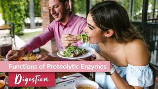 Proteolytic Enzymes The What and Why [upl. by Oirom]