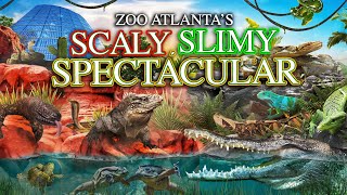 Zoo Tours Scaly Slimy Spectacular  Zoo Atlanta [upl. by Rhodes]