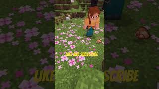 funny edit spawning Teleported to minecraft [upl. by Reisman65]