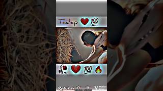 MereMehboob❤️TriptiDimribroken💔trendinglove❤️viral🥀videoshorts [upl. by Ahsitak]