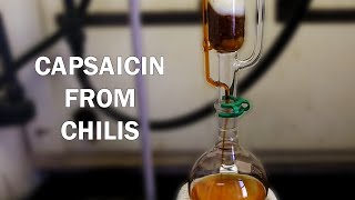 How to extract capsaicinoids from chili peppers [upl. by Nerland547]