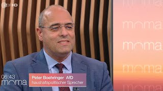 Bundeshaushalt 24 vertagt  Boehringer im ZDFMoMa 171123 [upl. by Inesita275]