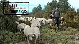 LA CABAÑERA DEL PIRINEO ARAGONÉS trashumancia THE LIVESTOCK TRAIL OF THE ARAGONESE PYRENEES [upl. by Anwahsed]