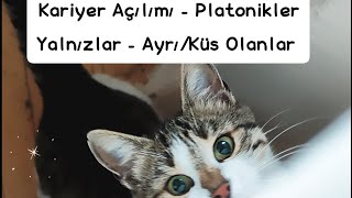 Sürpriz Açılımlar🎁 Kariyer Açılımı Platonikler Yalnızlar Ayrı Olanlar tarot desteseç [upl. by Giacobo]