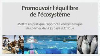 Lapproche écosystémique des pêches AEP frenchwmv [upl. by Ahsito698]