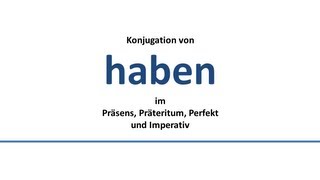 HABEN  to have  يملك، يكون لدى  Konjugation deutscher VerbenConjugation of German verbs [upl. by Ordisi105]