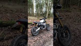 Triumph Scrambler 1200 XE Fender Eliminator [upl. by Nahtam]