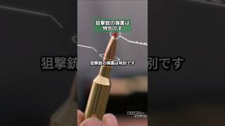 狙撃銃においてマッチグレード弾の使用は重要です！ [upl. by Hairim368]