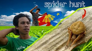 KAKAIBANG CONTENT SARANGGOLA AT GAGAMBA  SPIDER HUNT  4OK SUBSCRIBER [upl. by Wittenburg944]