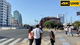 Avenida Alicia Moreau de Justo  Puerto Madero  Buenos Aires  Argentina  walking 4K UHD 2022 [upl. by Candace]