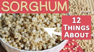 Sorghum 101 Try This Instead of Rice [upl. by Vida]