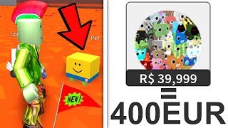 39999 ROBUX ITEM 400 EURO Roblox Pet Simulator [upl. by Catha]