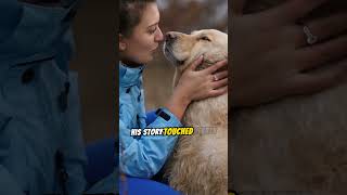 The Tale of Hachiko The Loyal Akita Who Waited 9 Years for His Owner Will Bring Tears to Your Eyes [upl. by Weihs790]