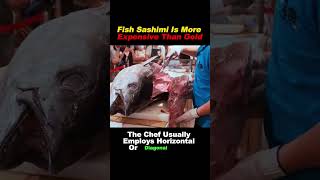 Fish Sashimi is more expensive than gold food cooking youtube funnyvideo sashimi [upl. by Weisler718]