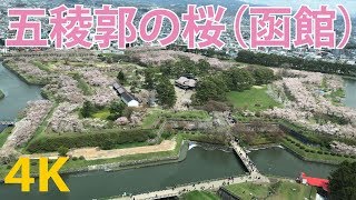 【4K動画】五稜郭の桜（函館）五稜郭タワー Goryokaku Castle Hokkaido Japan [upl. by Adanar]