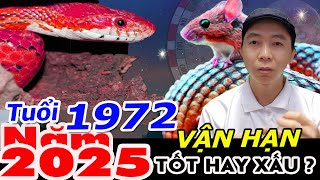 VẬN HẠN Nhâm Tý 1972 Năm Ất Tỵ 2025 TỐT HAY XẤU  Phong Thủy 100 Năm  0886736347 Zalo [upl. by Us835]