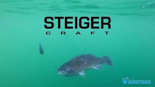 Tautog Fun With Steiger Craft [upl. by Helas]