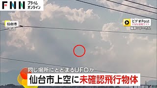 【UFO】仙台市上空に未確認飛行物体が…専門家「ドローンではない」が…チョウゲンボウ？ [upl. by Alitha696]