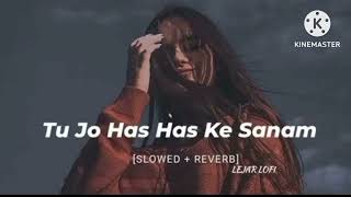 Tu Jo Has Has Ke Sanam  slowed x reverb  Raja Bhaiya 2003  Udit Narayan Govindalofi trending [upl. by Saiff]