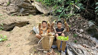 Harvest taro tubers and beans and go to the market to sell [upl. by Ssor]